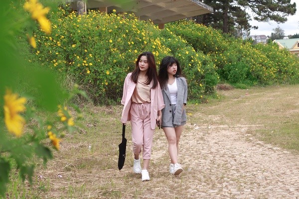 Mê đắm sắc hoa dã quỳ khi Đà Lạt lập Đông - ảnh 5