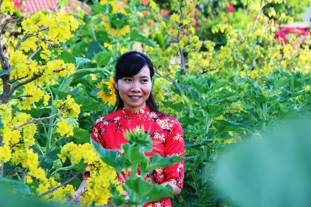 Khánh Hòa: Vườn mai lớn nhất Nha Trang hút khách du lịch dịp Tết - ảnh 1