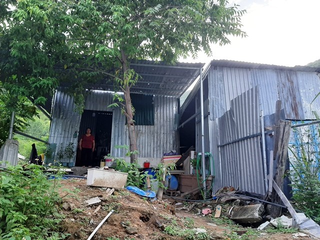 Khánh Hòa tập trung ứng phó với bão số 12 - ảnh 1