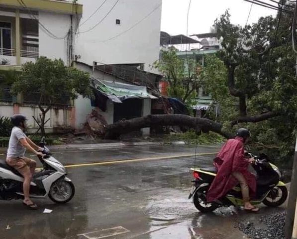 Bão số 12 gây nhiều thiệt hại cho Nam Trung Bộ và Tây Nguyên - ảnh 2