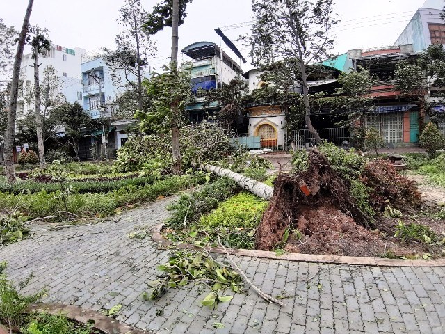 Phó Thủ tướng đề nghị điều 2 tàu hải quân cứu hộ ngư dân gặp nạn trên biển - ảnh 1