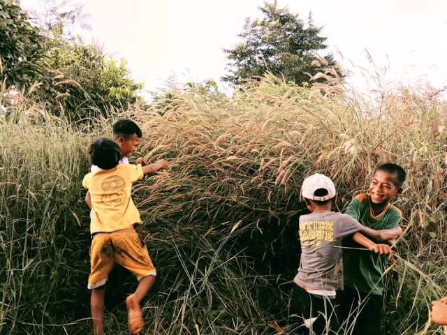 Kon Tum: Độc đáo… mùa hoa dại - ảnh 5