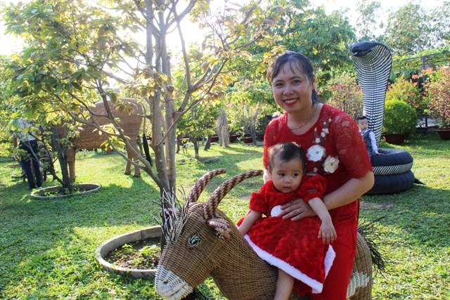 Khánh Hòa: Vườn mai lớn nhất Nha Trang hút khách du lịch dịp Tết - ảnh 5