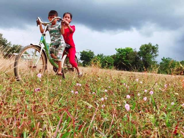 Kon Tum: Độc đáo… mùa hoa dại - ảnh 3