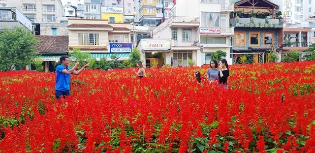 Đẩy mạnh hợp tác, kết nối phát triển vùng du lịch biển - hoa - ảnh 3