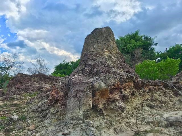 Ninh Thuận: Phát hiện bãi san hô cổ hóa thạch "có một không hai" - ảnh 3