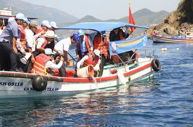 Khánh Hòa: Người dân, du khách  hứng khởi trông cây xanh, thả cá giống bảo vệ biển đảo - ảnh 4