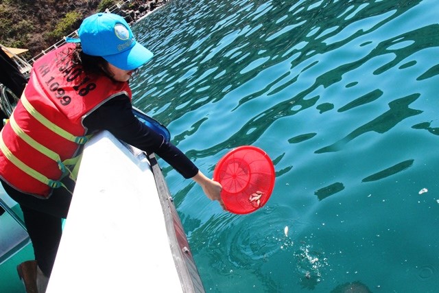 Khánh Hòa: Người dân, du khách  hứng khởi trông cây xanh, thả cá giống bảo vệ biển đảo - ảnh 5