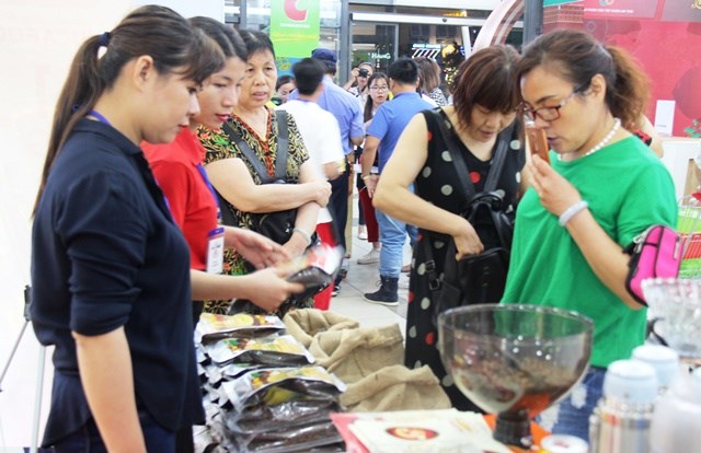 Quảng bá thương hiệu cà phê, thu hút du khách - ảnh 1