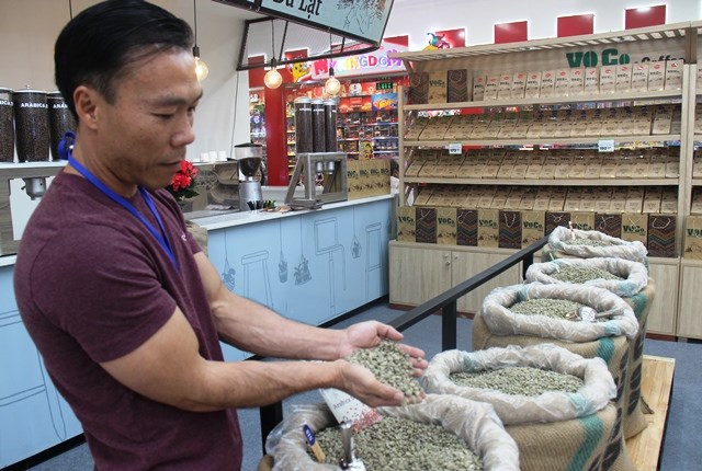 Quảng bá thương hiệu cà phê, thu hút du khách - ảnh 3