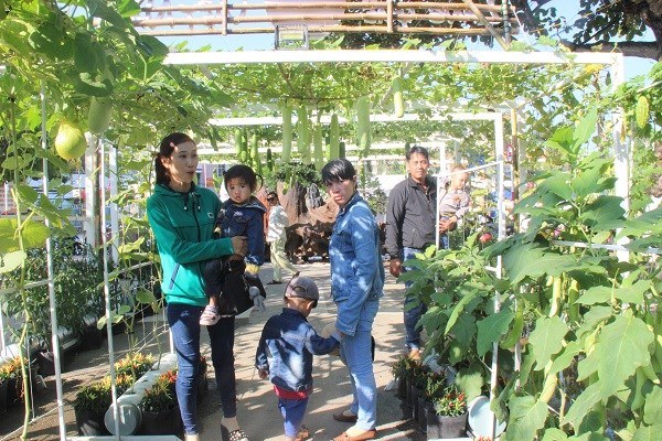 Khánh Hòa: Các điểm du lịch đông kín khách du xuân trong dịp Tết Kỷ Hợi - ảnh 6