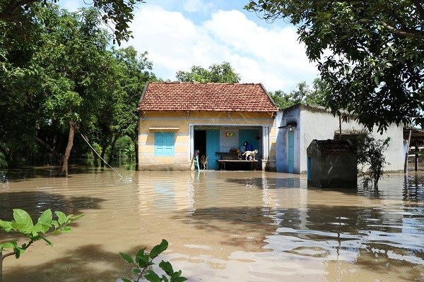 Ninh Thuận: Ngập úng, lũ quét, nông dân thiệt hại nặng - ảnh 3