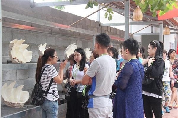 Đề nghị Bộ Công an xác minh thông tin đường dây làm thẻ HDV giả ở Khánh Hòa - ảnh 2