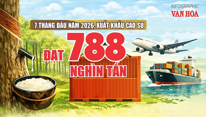 Xuất khẩu cao su 7 tháng đầu năm 2026 đạt gần 1,55 tỉ USD, Trung Quốc dẫn đầu