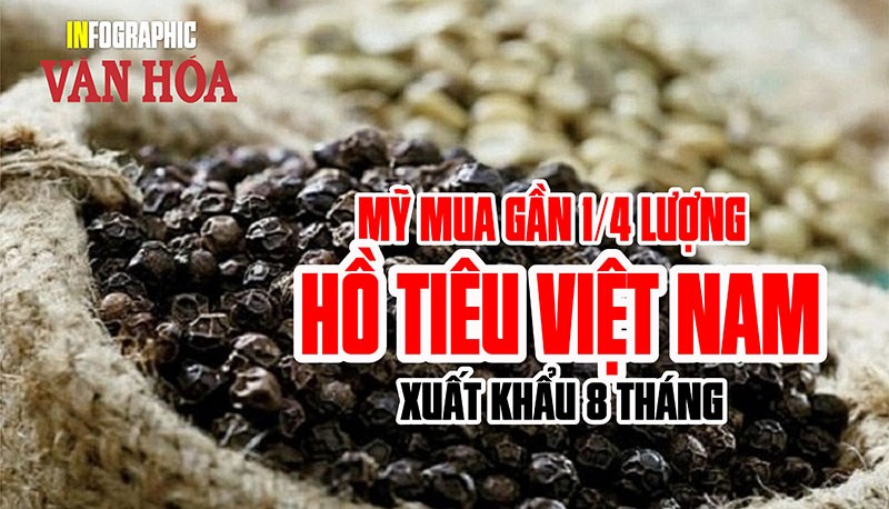Mỹ nhập khẩu gần 25% hồ tiêu Việt Nam trong 8 tháng đầu năm