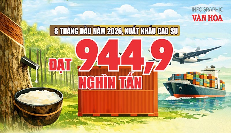 Xuất khẩu cao su đạt 944,9 nghìn tấn, giá tăng 12,2% dù sản lượng giảm