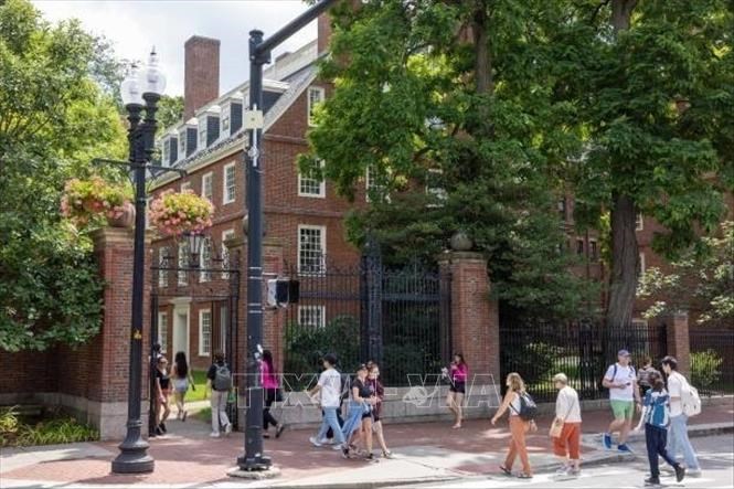 Sinh viên tại Đại học Harvard ở Cambridge, Massachusetts, Mỹ. Ảnh: GettyImages/TTXVN