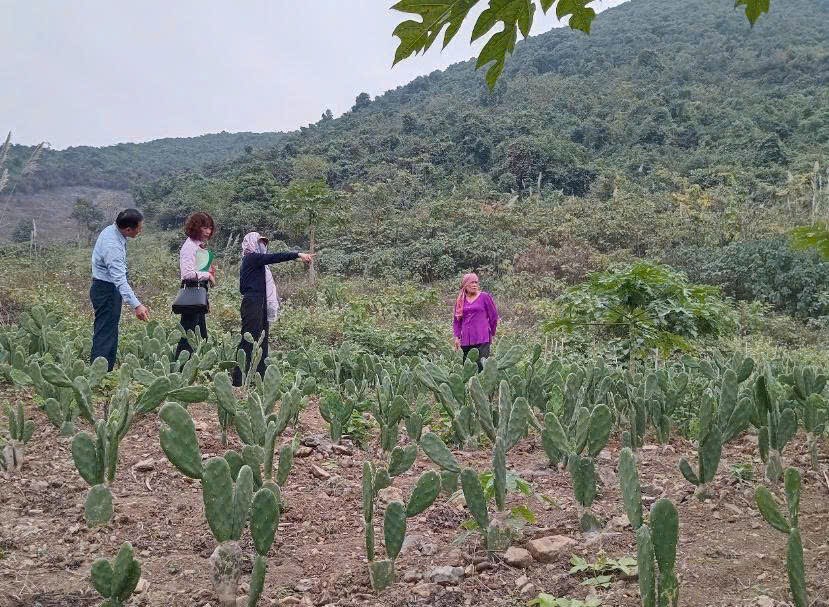 Các mô hình sản xuất hiệu quả, thoát nghèo nhờ vốn vay tín dụng chính sách ởtỉnh Hà Nam.