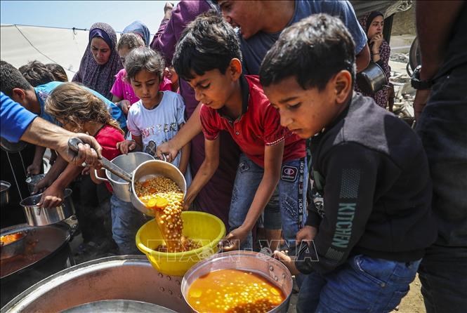 Trẻ em Palestine nhận thức ăn cứu trợ tại một trung tâm phân phối ở thành phốGaza, ngày 3.6.2025. Ảnh: THX/TTXVN