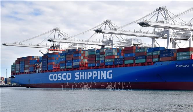 Tàu chở hàng hóa Trung Quốc neo tại cảng Long Beach ở Los Angeles, Mỹ. Ảnh:THX/TTXVN