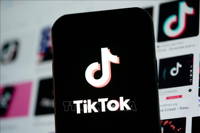 Biểu tượng TikTok trên màn hình điện thoại di động ở Arlington, Virginia, Mỹ.Ảnh: THX/TTXVN