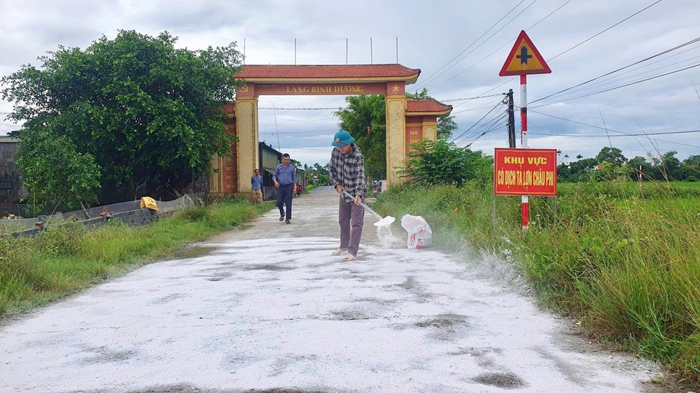 Dịch tả lợn châu Phi trước nguy cơ lan rộng tại Hà Tĩnh - ảnh 4