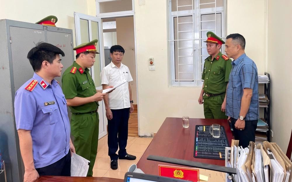 Mở rộng vụ án mua bán trái phép hoá đơn cát, khởi tố thêm 3 bị can - ảnh 2
