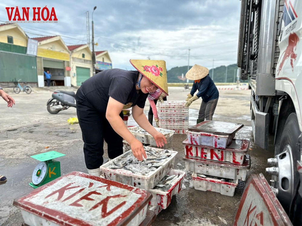 Ngư dân Hà Tĩnh trúng đậm hải sản trước bão số 5 - ảnh 5