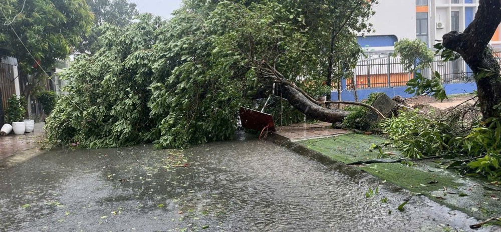 Kính toà nhà cao tầng rơi vỡ, nhiều ô tô hư hỏng - ảnh 5