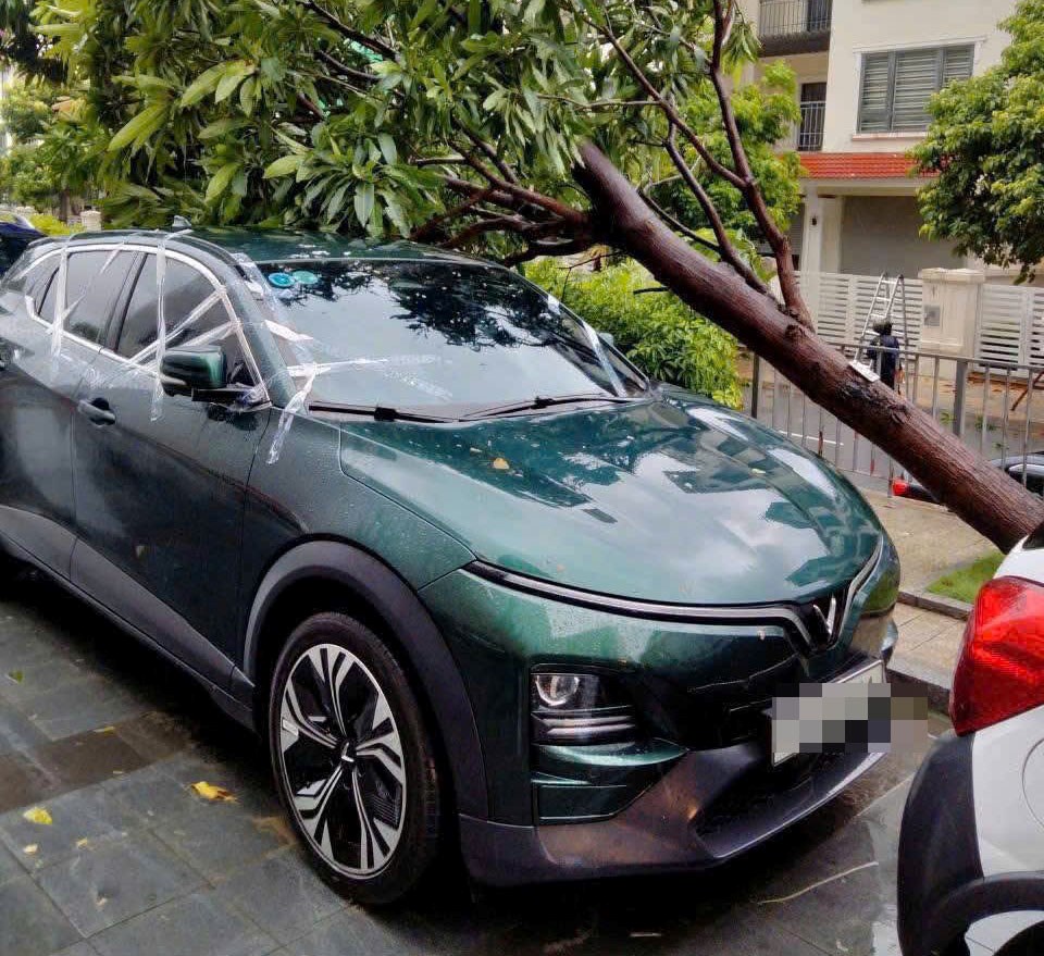 Kính toà nhà cao tầng rơi vỡ, nhiều ô tô hư hỏng - ảnh 3