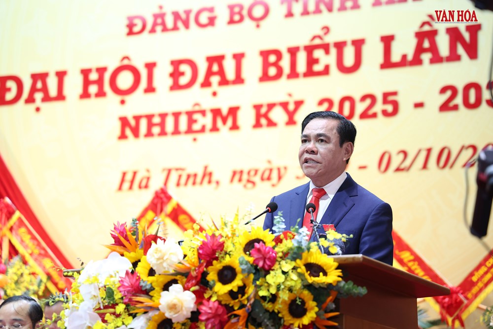 Đồng chí Võ Trọng Hải tái cử Phó Bí thư Tỉnh ủy Hà Tĩnh khóa XX - ảnh 2