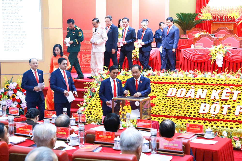 Đại hội Đảng bộ Hà Tĩnh khoá XX thành công tốt đẹp - ảnh 3