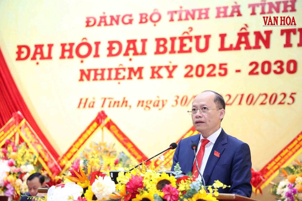 Đồng chí Võ Trọng Hải tái cử Phó Bí thư Tỉnh ủy Hà Tĩnh khóa XX - ảnh 3