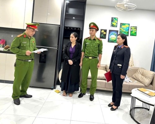 Khởi tố một nữ môi giới đất ở Hà Tĩnh  - ảnh 1