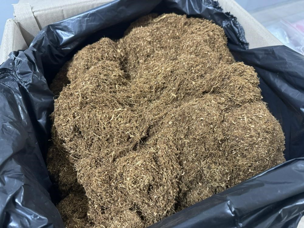 Bắt cặp đôi sản xuất ma túy Tobaco - ảnh 3