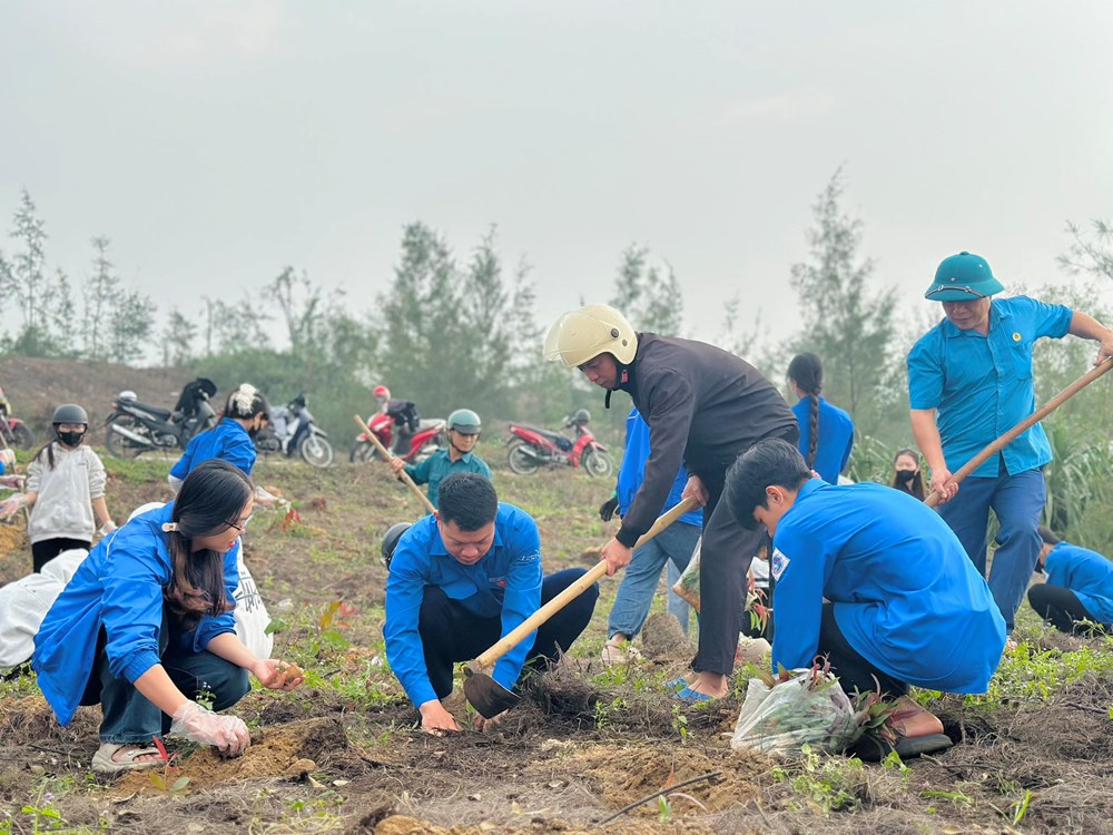 Trồng khôi phục rừng phòng hộ Thạch Khê sau bão - ảnh 4