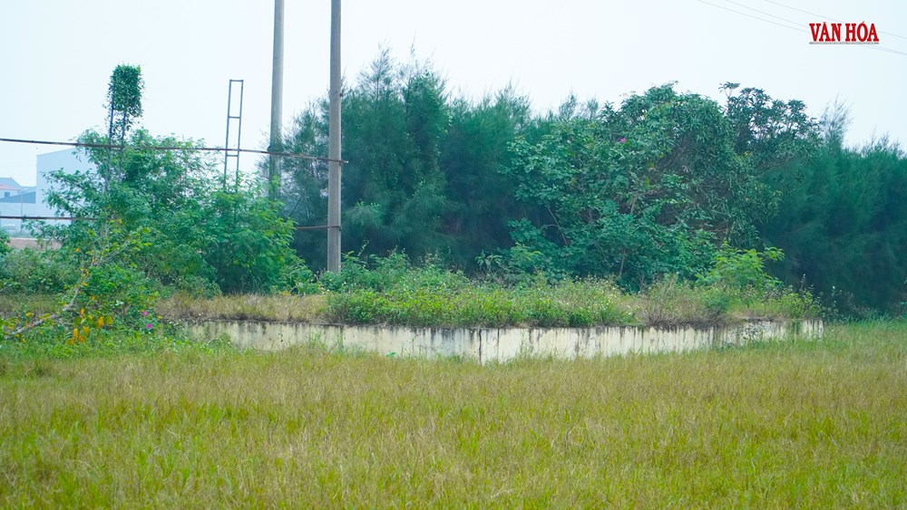 SVĐ cần được “đánh thức” trong giai đoạn toàn dân rèn luyện thể chất - ảnh 10