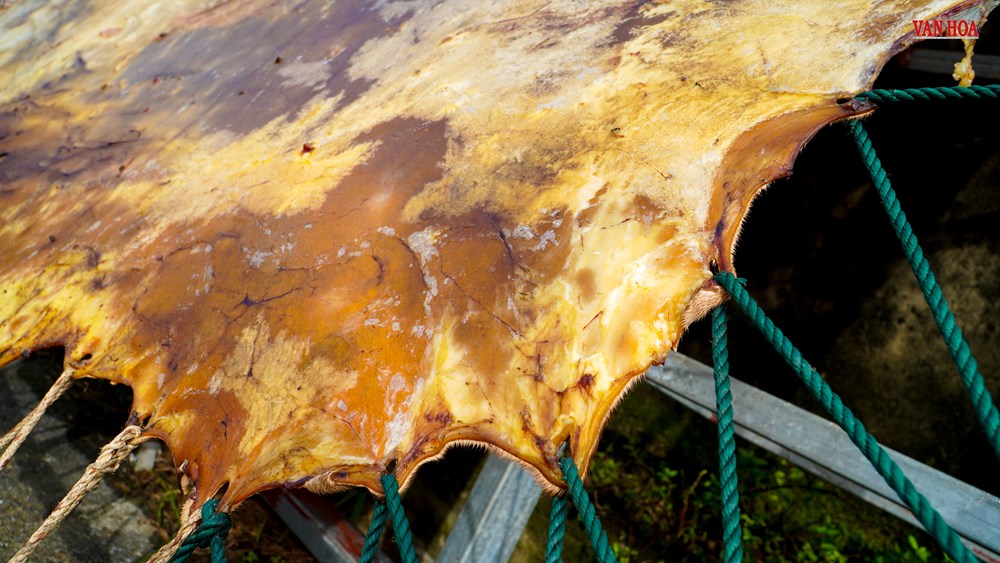 Dòng họ Bùi với hơn một thế kỷ giữ nhịp trống Bắc Thai - ảnh 7