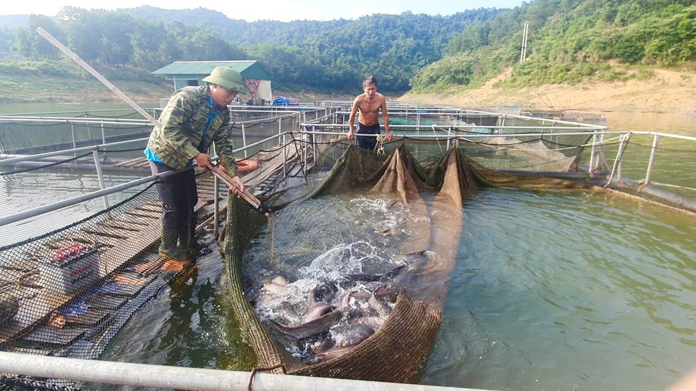 Hà Tĩnh cần đánh thức “mỏ vàng” dưới lòng hồ - ảnh 2
