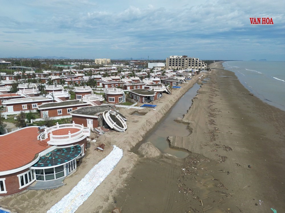 Làm trái thiết kế, Hoa Tiên Xuân Thành phải chịu trách nhiệm sự cố - ảnh 4