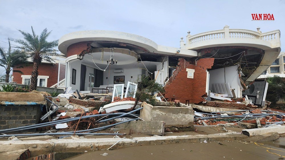 Làm trái thiết kế, Hoa Tiên Xuân Thành phải chịu trách nhiệm sự cố - ảnh 1