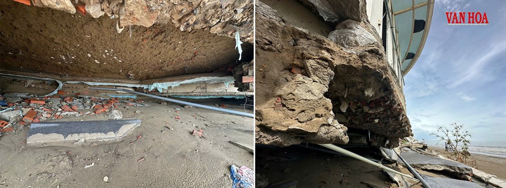 Làm trái thiết kế, Hoa Tiên Xuân Thành phải chịu trách nhiệm sự cố - ảnh 3