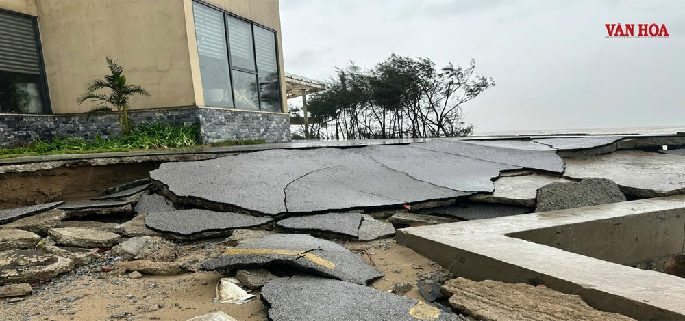 Làm trái thiết kế, Hoa Tiên Xuân Thành phải chịu trách nhiệm sự cố - ảnh 2