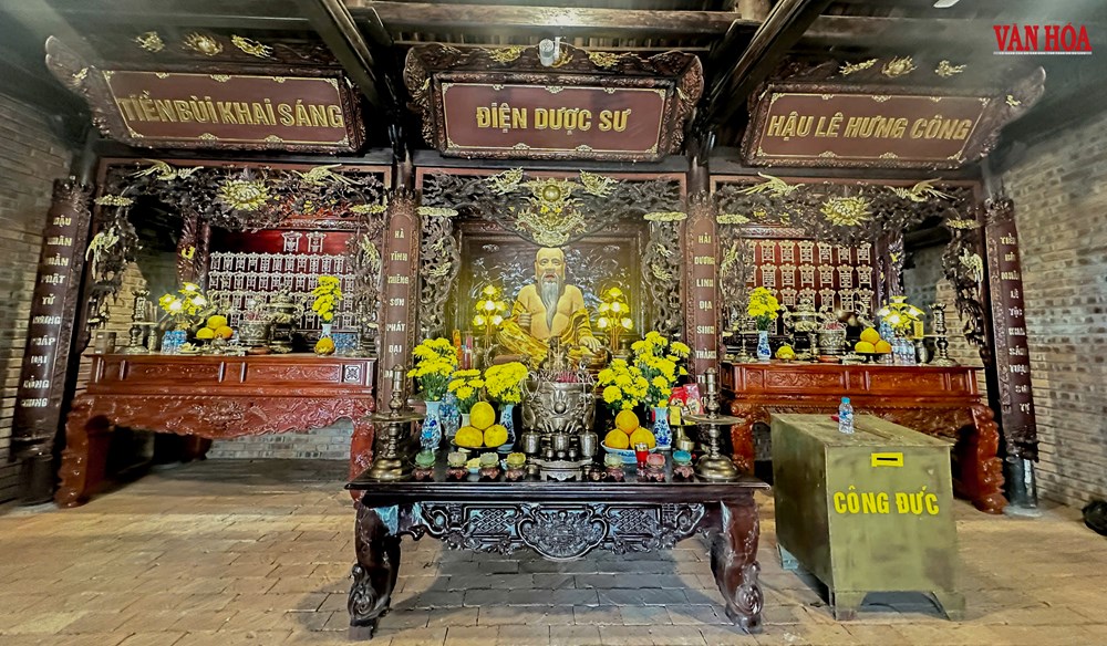 Chuyện về cây vải 300 tuổi gắn với cuộc đời Hải Thượng Lãn Ông - ảnh 6