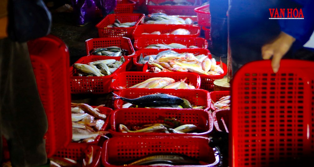 Nhộn nhịp chợ cá rạng sáng tại cảng Cửa Sót  - ảnh 5