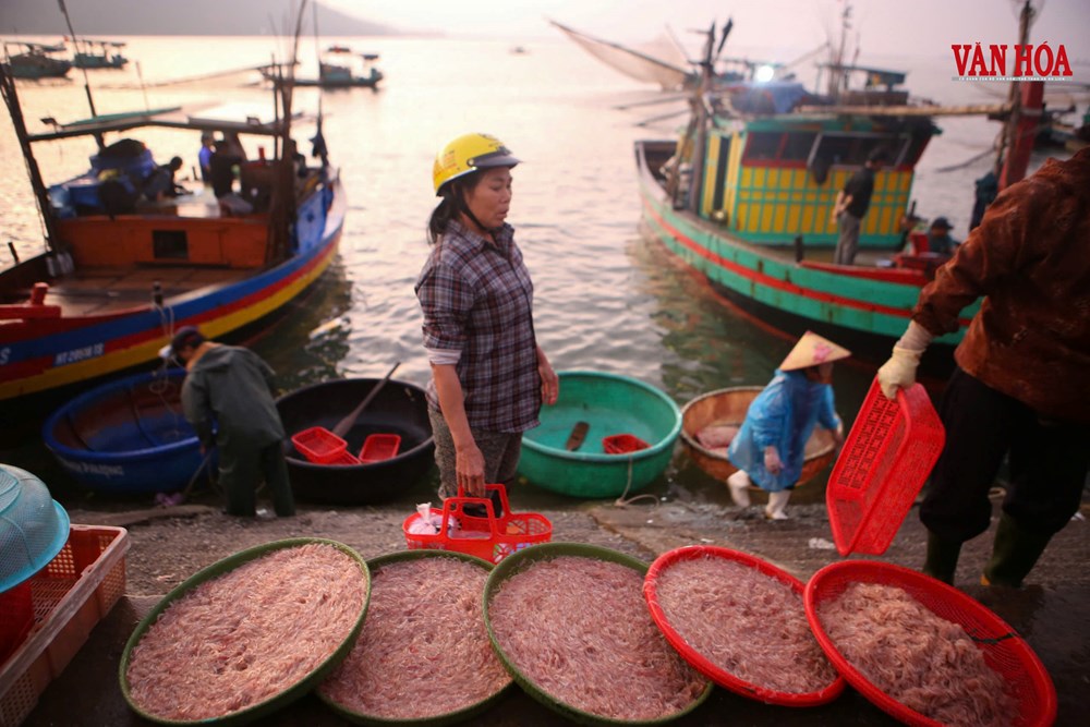 Nhộn nhịp chợ cá rạng sáng tại cảng Cửa Sót  - ảnh 3