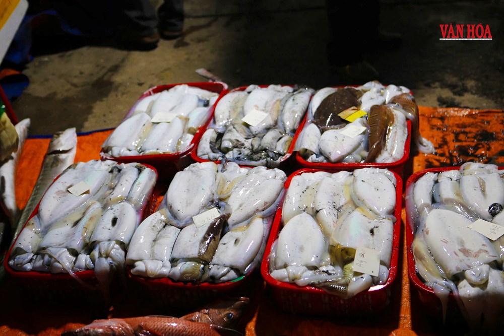 Nhộn nhịp chợ cá rạng sáng tại cảng Cửa Sót  - ảnh 6