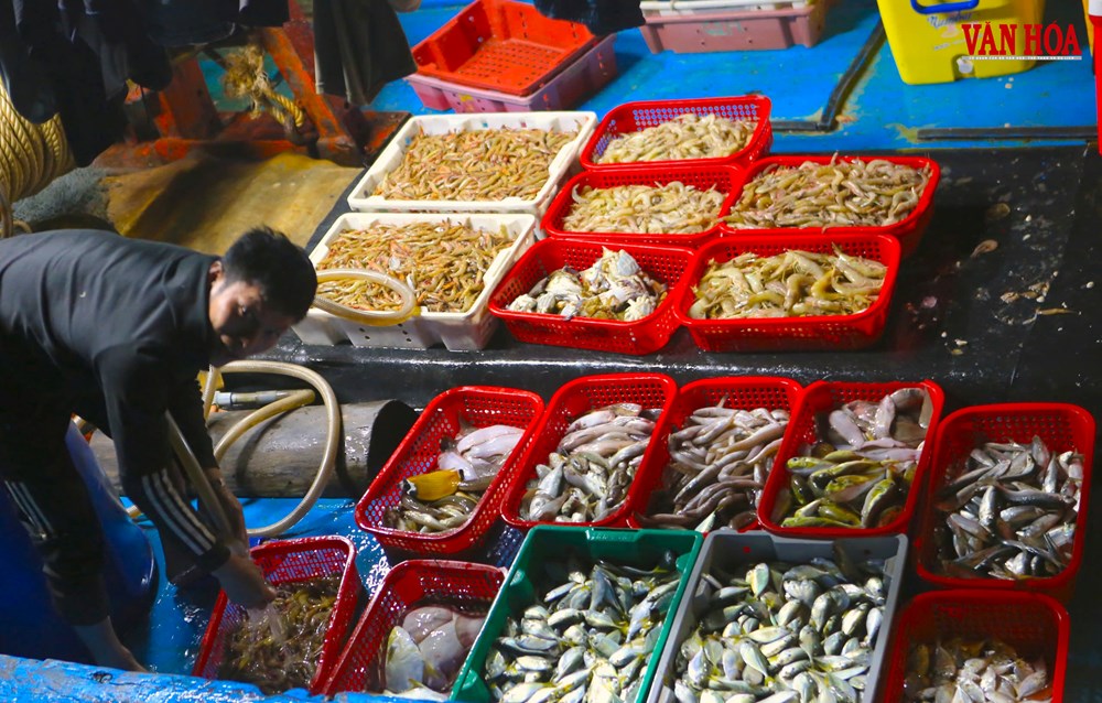 Nhộn nhịp chợ cá rạng sáng tại cảng Cửa Sót  - ảnh 2