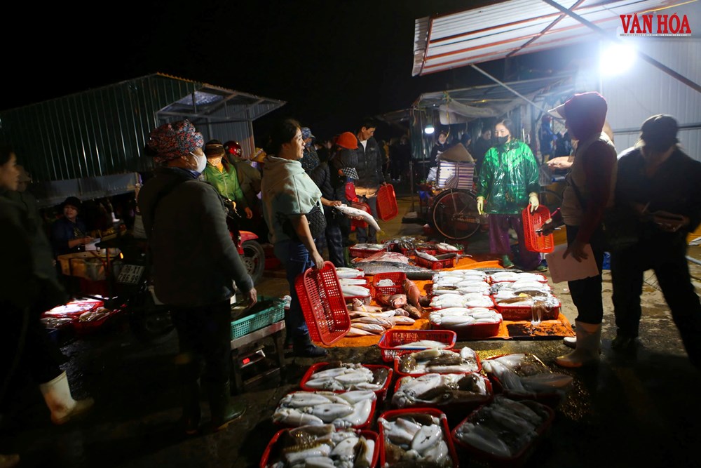 Nhộn nhịp chợ cá rạng sáng tại cảng Cửa Sót  - ảnh 8