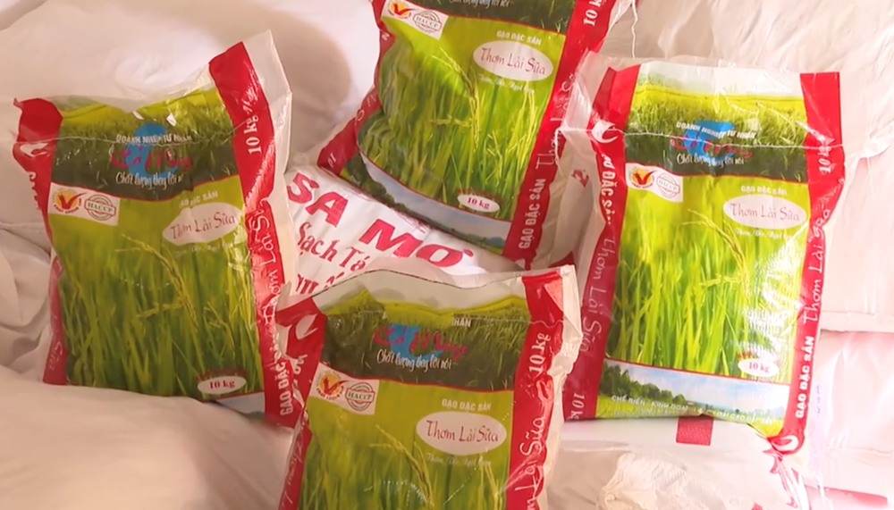 Triệt phá đường dây sản xuất gạo giả tại Hà Tĩnh - ảnh 2